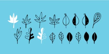 Leaf Doodles by Outside the Line — Dingbats Font — thumbnail 3