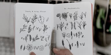 Leaves and Twigs by Ana's Fonts — Dingbats Font — thumbnail 2