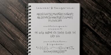 Leaves and Twigs by Ana's Fonts — Dingbats Font — thumbnail 4