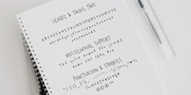 Leaves and Twigs by Ana's Fonts — Dingbats Font — thumbnail 5