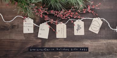 Leaves and Twigs by Ana's Fonts — Dingbats Font — thumbnail 8