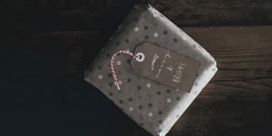 Leaves and Twigs by Ana's Fonts — Dingbats Font — thumbnail 9