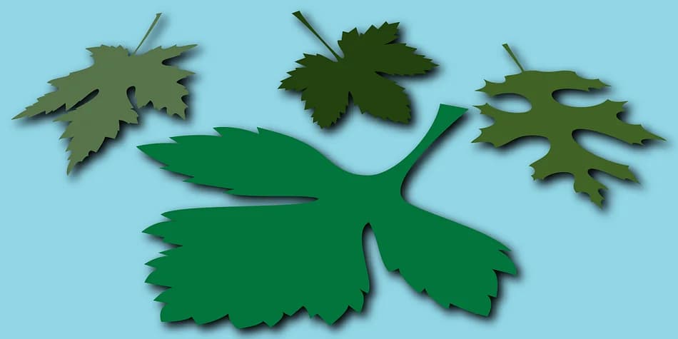 Leaves by Gerald Gallo Fonts — Dingbats Font