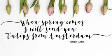 Les Tulipes Pro by Fontforecast — Dingbats Font — thumbnail 5