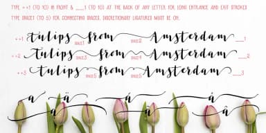 Les Tulipes Pro by Fontforecast — Dingbats Font — thumbnail 6