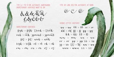 Les Tulipes Pro by Fontforecast — Dingbats Font — thumbnail 8