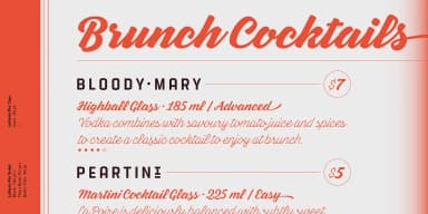 Letteria Pro by Latinotype — Script Handwritten Font — thumbnail 8