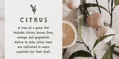 Linoblox linocut sans font by Ana's Fonts — Dingbats Font — thumbnail 3