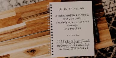 Little Things by Ana's Fonts — Dingbats Font — thumbnail 5