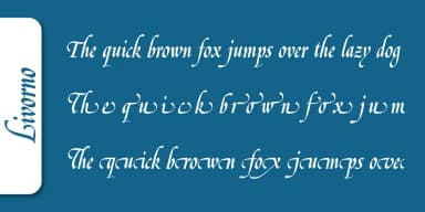 Livorno Pro by SoftMaker — Blackletter Font — thumbnail 5