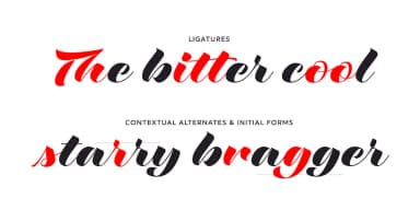 Love Script by Positype — Script Handwritten Font — thumbnail 5