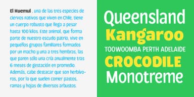 Loyola Pro by Rodrigo Typo — Decorative Font — thumbnail 5