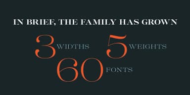 Lust Pro by Positype — Decorative Font — thumbnail 5