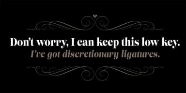 Lust Slim by Positype — Decorative Font — thumbnail 4