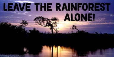 MAGICAL BRUSH by Hanoded — Display Font — thumbnail 4