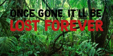 MAGICAL BRUSH by Hanoded — Display Font — thumbnail 5