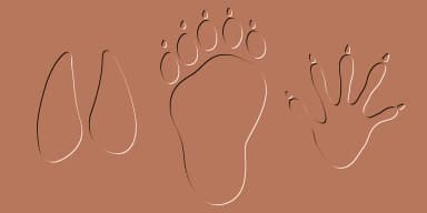 Make Tracks by Gerald Gallo Fonts — Dingbats Font — thumbnail 1