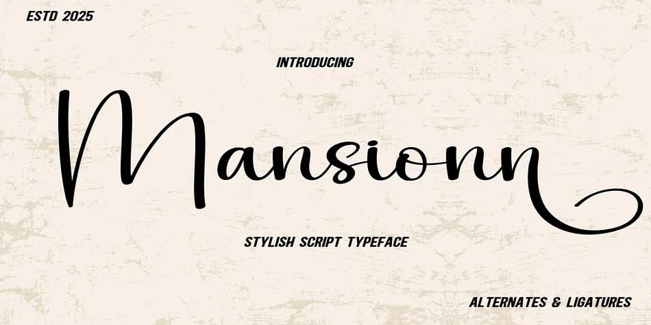 Mansionn by Aditastudios — Script Handwritten Font