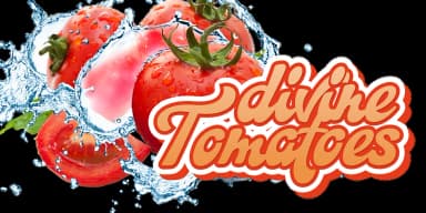 Martinaz by Typogama — Script Handwritten Font — thumbnail 9