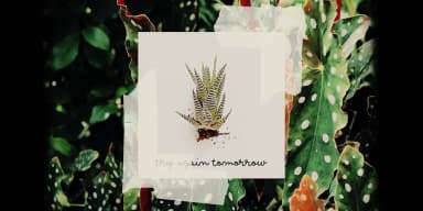 Me and my dog by Ana's Fonts — Dingbats Font — thumbnail 4