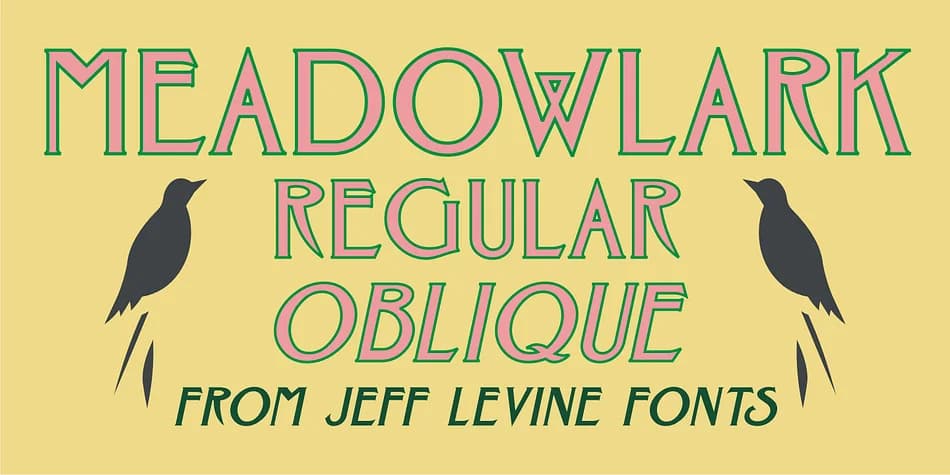 MEADOWLARK JNL by Jeff Levine Fonts — Decorative Font
