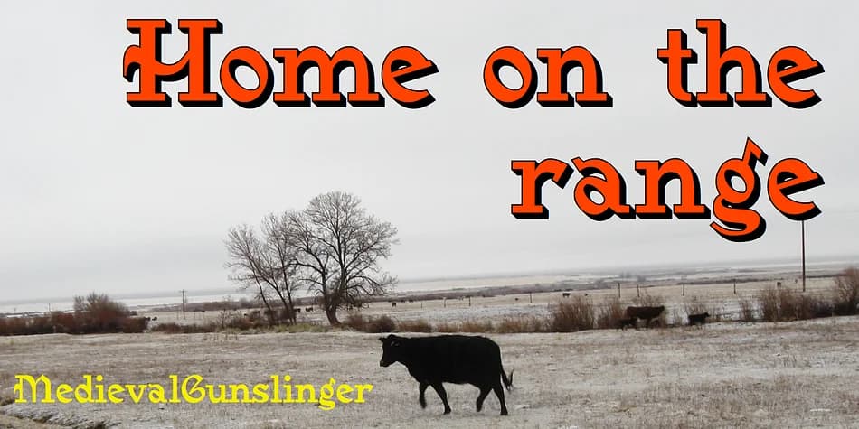 Medieval Gunslinger by Ingrimayne Type — Blackletter Font