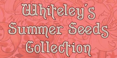 Merrivaux by Greater Albion Typefounders — Blackletter Font — thumbnail 4