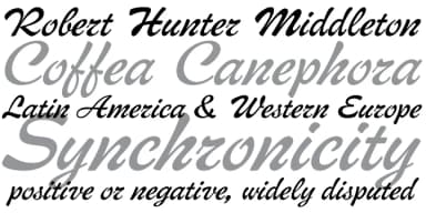 Middleton Brush by Canada Type — Script Handwritten Font — thumbnail 4