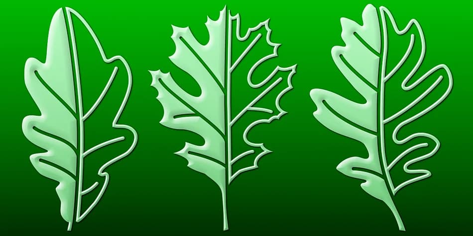 Mighty Oaks by Gerald Gallo Fonts — Dingbats Font