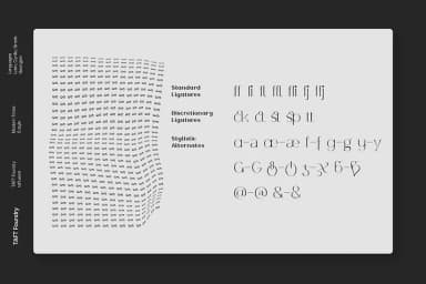 Modern Times by TAFT Foundry — Decorative Font — thumbnail 4