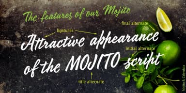 Mojito by ParaType — Script Handwritten Font — thumbnail 4