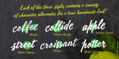 Mojito by ParaType — Script Handwritten Font — thumbnail 5