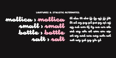 Mollica by Unio Creative Solutions — Script Handwritten Font — thumbnail 4