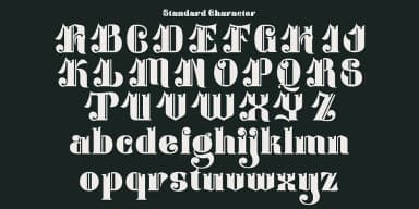 Monevilcy by TypeClassHeroes — Decorative Font — thumbnail 5