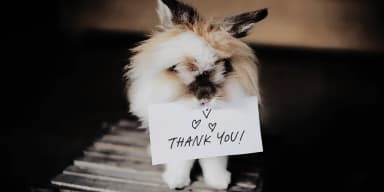 Moon And Stars by Ana's Fonts — Dingbats Font — thumbnail 5