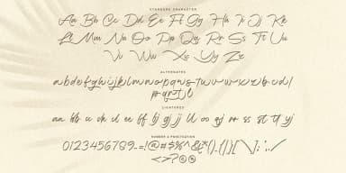 Moonlight Breeze by Jolicia Type — Script Handwritten Font — thumbnail 7