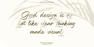 Moonlight Breeze by Jolicia Type — Script Handwritten Font — thumbnail 9