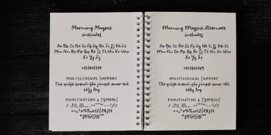 Morning Magpie by Ana's Fonts — Dingbats Font — thumbnail 2