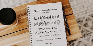 Morning Magpie by Ana's Fonts — Dingbats Font — thumbnail 3