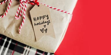 Morning Magpie by Ana's Fonts — Dingbats Font — thumbnail 5