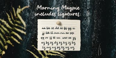 Morning Magpie by Ana's Fonts — Dingbats Font — thumbnail 6