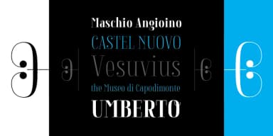 Napolitanka by Tour de Force Font Foundry — Dingbats Font — thumbnail 2