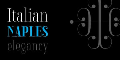 Napolitanka by Tour de Force Font Foundry — Dingbats Font — thumbnail 3