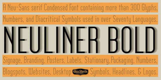 Neuliner by CozyFonts Foundry — Decorative Font