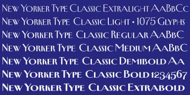 New Yorker Type Classic by Wiescher-Design — Decorative Font — thumbnail 7