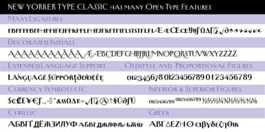 New Yorker Type Classic by Wiescher-Design — Decorative Font — thumbnail 8