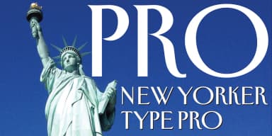 New Yorker Type Pro by Wiescher-Design — Decorative Font — thumbnail 1