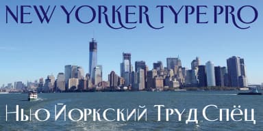 New Yorker Type Pro by Wiescher-Design — Decorative Font — thumbnail 3