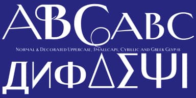 New Yorker Type Pro by Wiescher-Design — Decorative Font — thumbnail 6