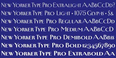 New Yorker Type Pro by Wiescher-Design — Decorative Font — thumbnail 7